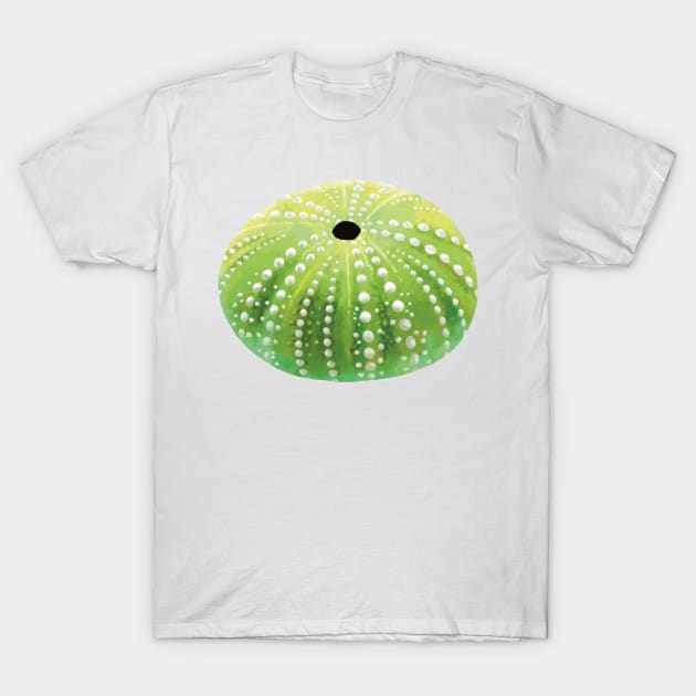 Green Sea Urchin T-Shirt by Griffelkinn